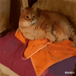 输入法|手机九键输入法,先发一个“别”,一直按,就知道你最抗拒什么了