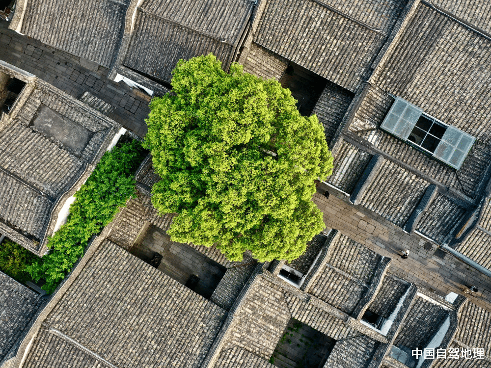 福州|被遗忘的宝藏级国道，从大海到高原，一路风景独好！|中国自驾地理