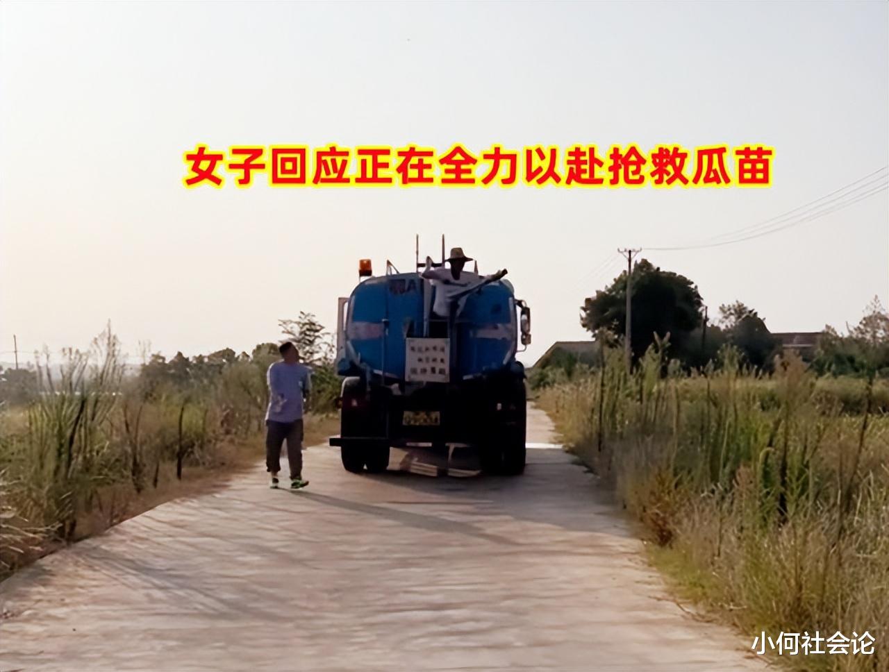 遭老人组团偷瓜女子发声:正在全力抢救第二批瓜苗,没提处理结果