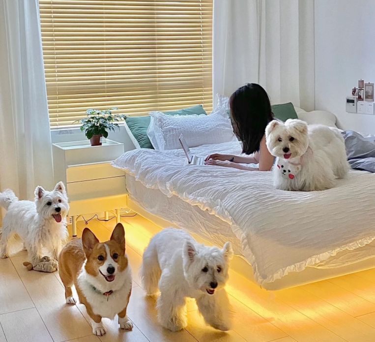 姑娘晒出75㎡独居小家:厨房装“内窗”做吧台,用餐区也太舒适了