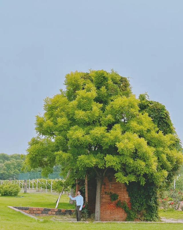 马嘉祺|马嘉祺终于录新歌了！此前因长时间不更新，被指责爱豆失职