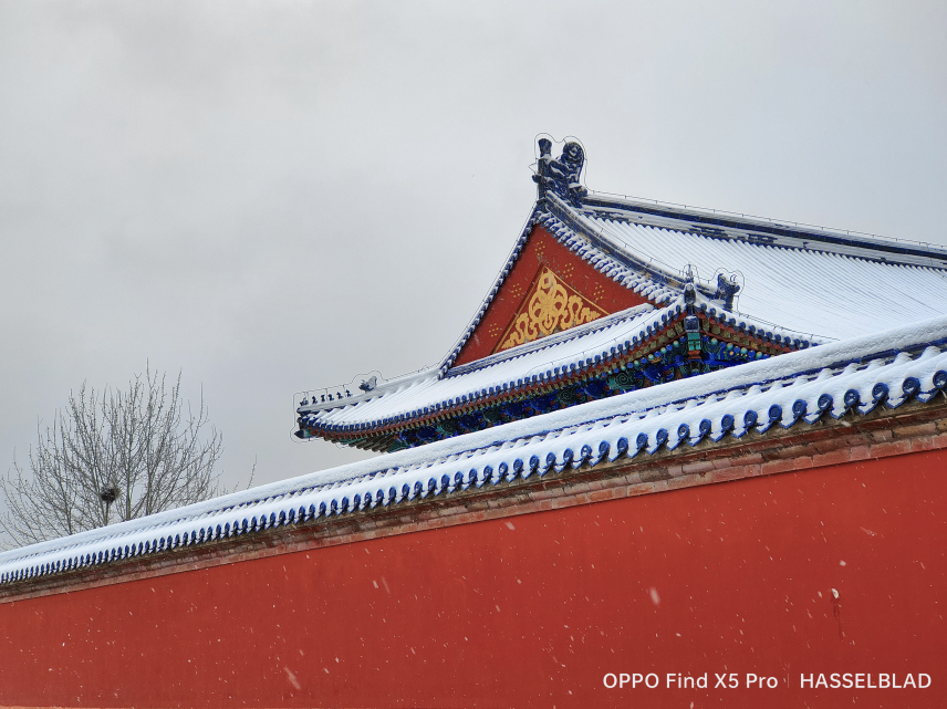 芯片|手机摄影“扫盲级”科普，藏在生活里的拍照玄学，从读懂芯片开始