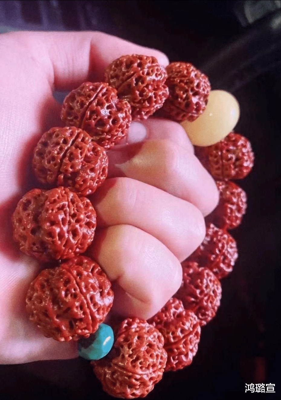 金刚菩提|金刚菩提是如今的局面到底是卷？还是另有原因？