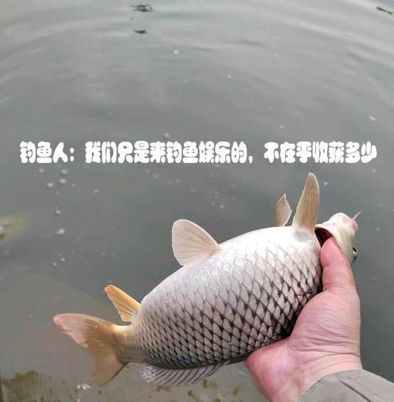 |得救了？贵州安顺一头猪落水后被钓鱼人“钓起”，网友：幸运的猪