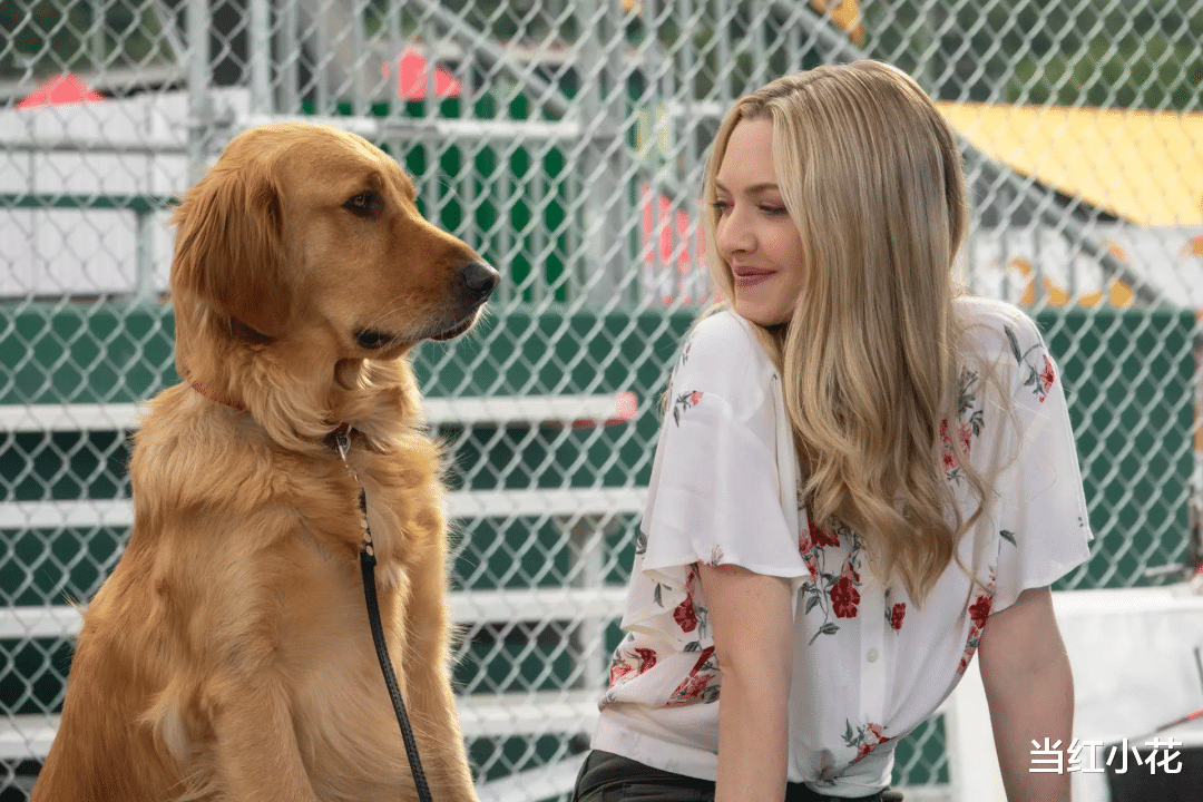 好莱坞|好莱坞四小花旦现状：拼4胎、家暴男友，遭漫威“封杀”