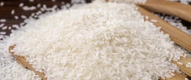 米象是害虫吗?它在干燥的大米中是如何存活的?