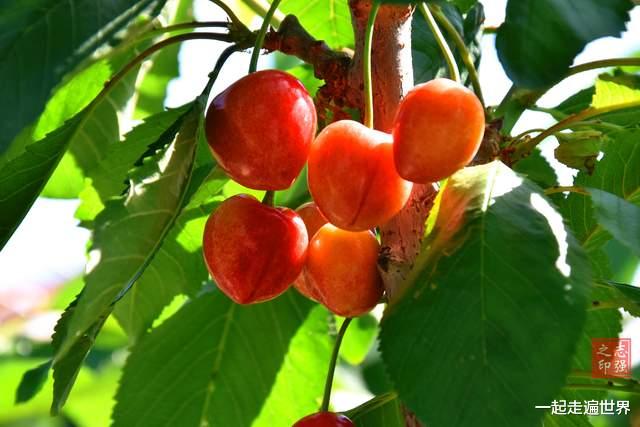 宝贝|我在甘肃旅行,发现一座宝藏小镇,里面藏着许多“宝贝”