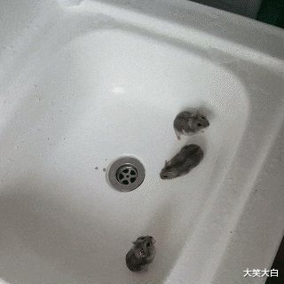 网友无意间被拉进一个cos群, 结果深夜被踢出群聊, 原因是...