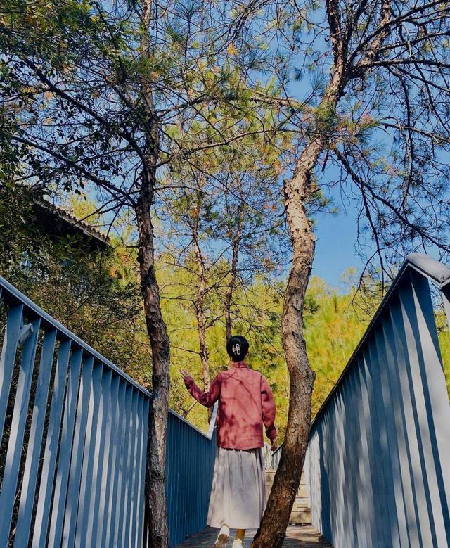 赵丽颖|赵丽颖条纹长裙阳光明媚户外写真