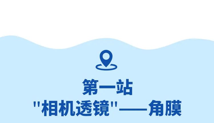 近视|你知道眼睛是如何工作的吗?