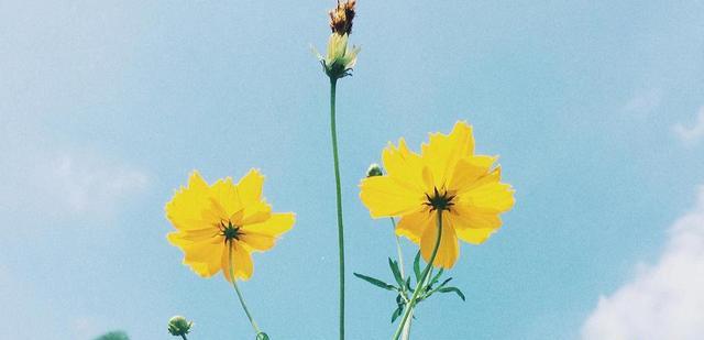 创业|当九月不再是开学季