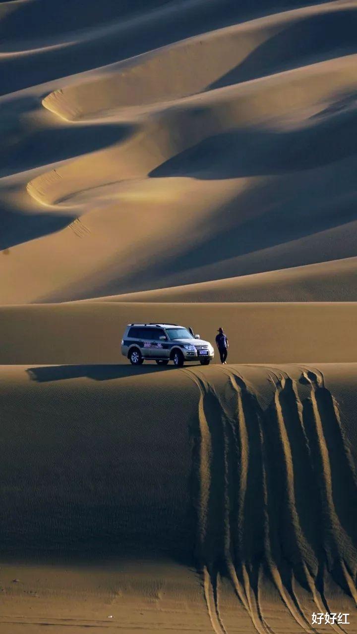 沙漠骆驼|?这个夏天如果只能去一个地方，  那一定是北疆！