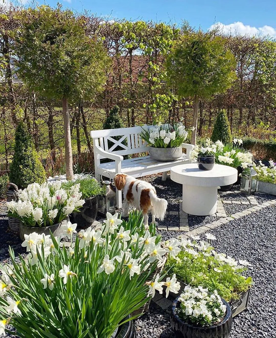 9款庭院花园设计案例,为自己造一个花园