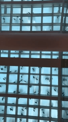 被迷惑的眼睛:33张第一眼都会看错的照片,绝对没有PS