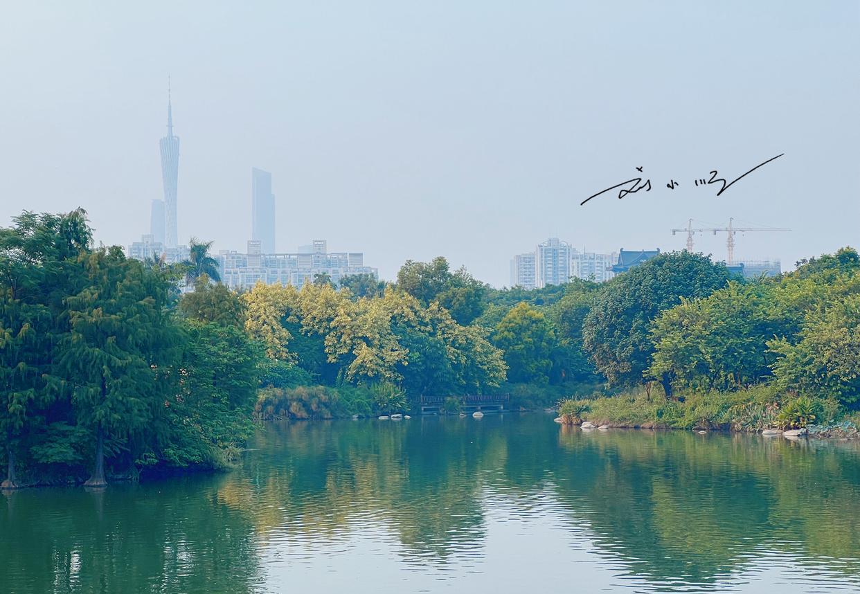 广州市|广州市中心有一片“海珠湖”,可以远眺广州塔,风景堪比杭州西湖
