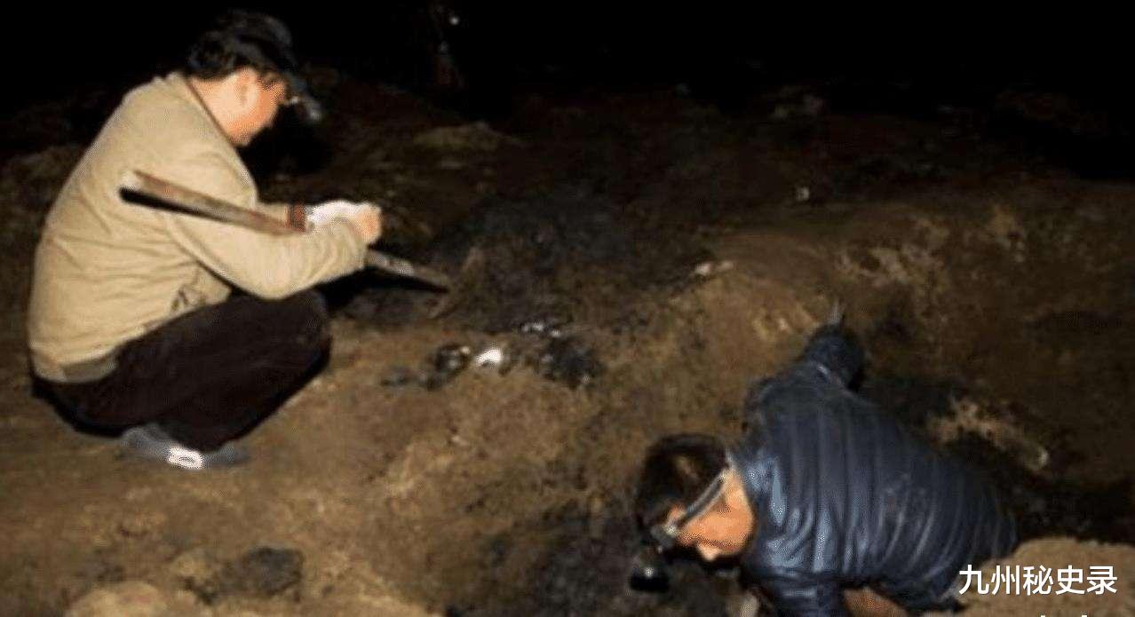 秦朝|专家十年未找到的墓,盗墓者一晚上挖穿,专家直言是否招聘盗墓贼