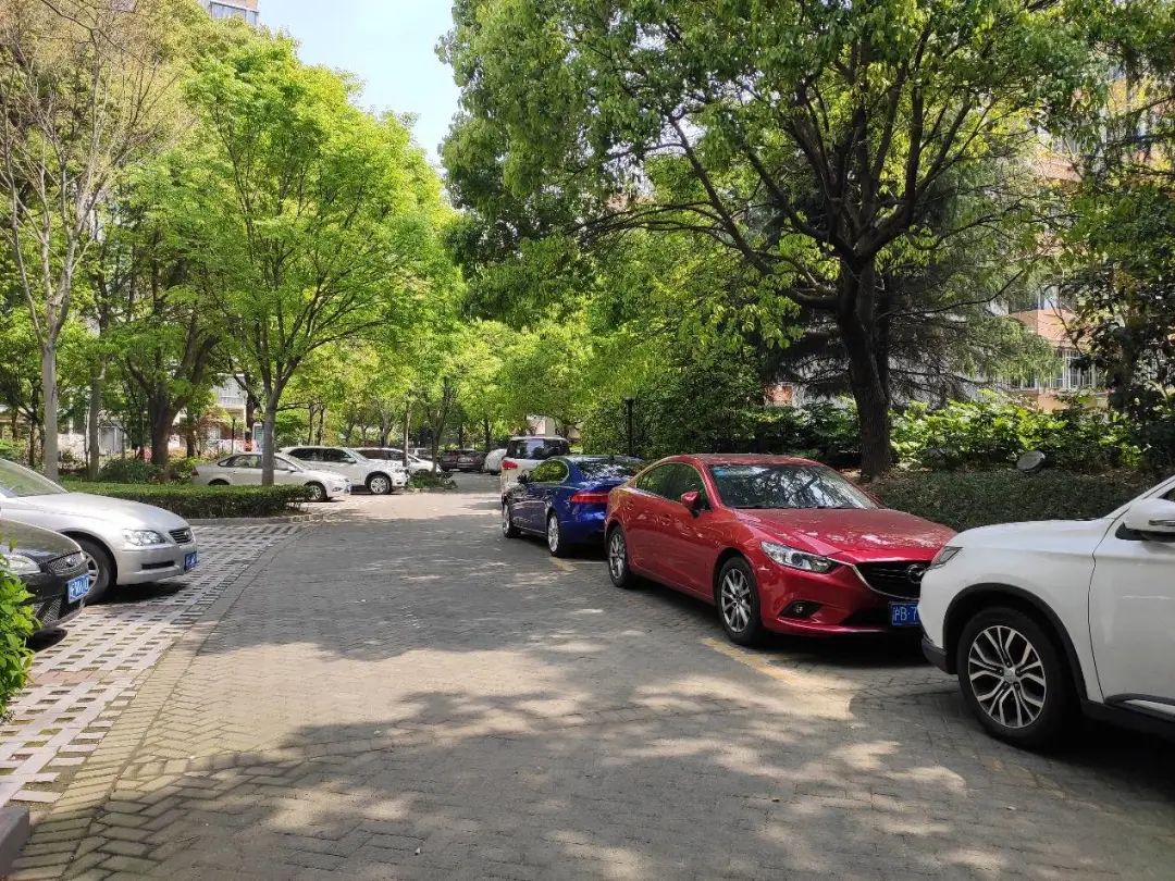 普陀|对口新普陀小学品质最好的小区之一，长风板块|中星海上名庭测评