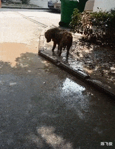 iphone13|工地里捡的耳机,连喇叭都没有,为啥有人出价4位数想收购?