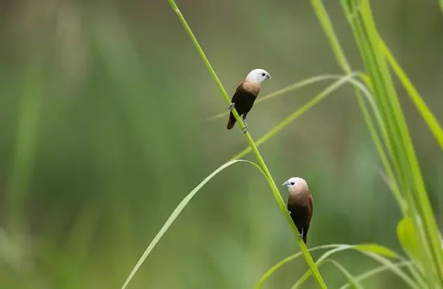 大山的视觉生活