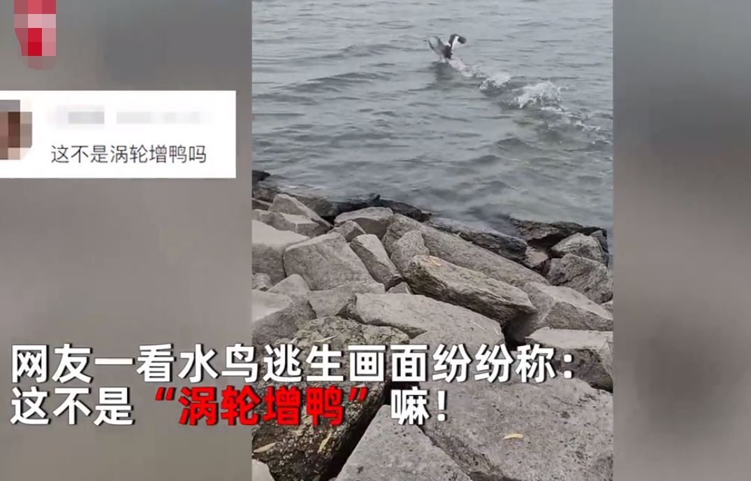 国语|男子河边钓鱼，意外钓上一只水鸟，看清模样后，吓得扔掉鱼竿