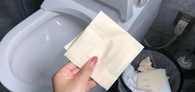 上完厕所后,卫生纸该扔到马桶还是扔纸篓里?答案在这里!