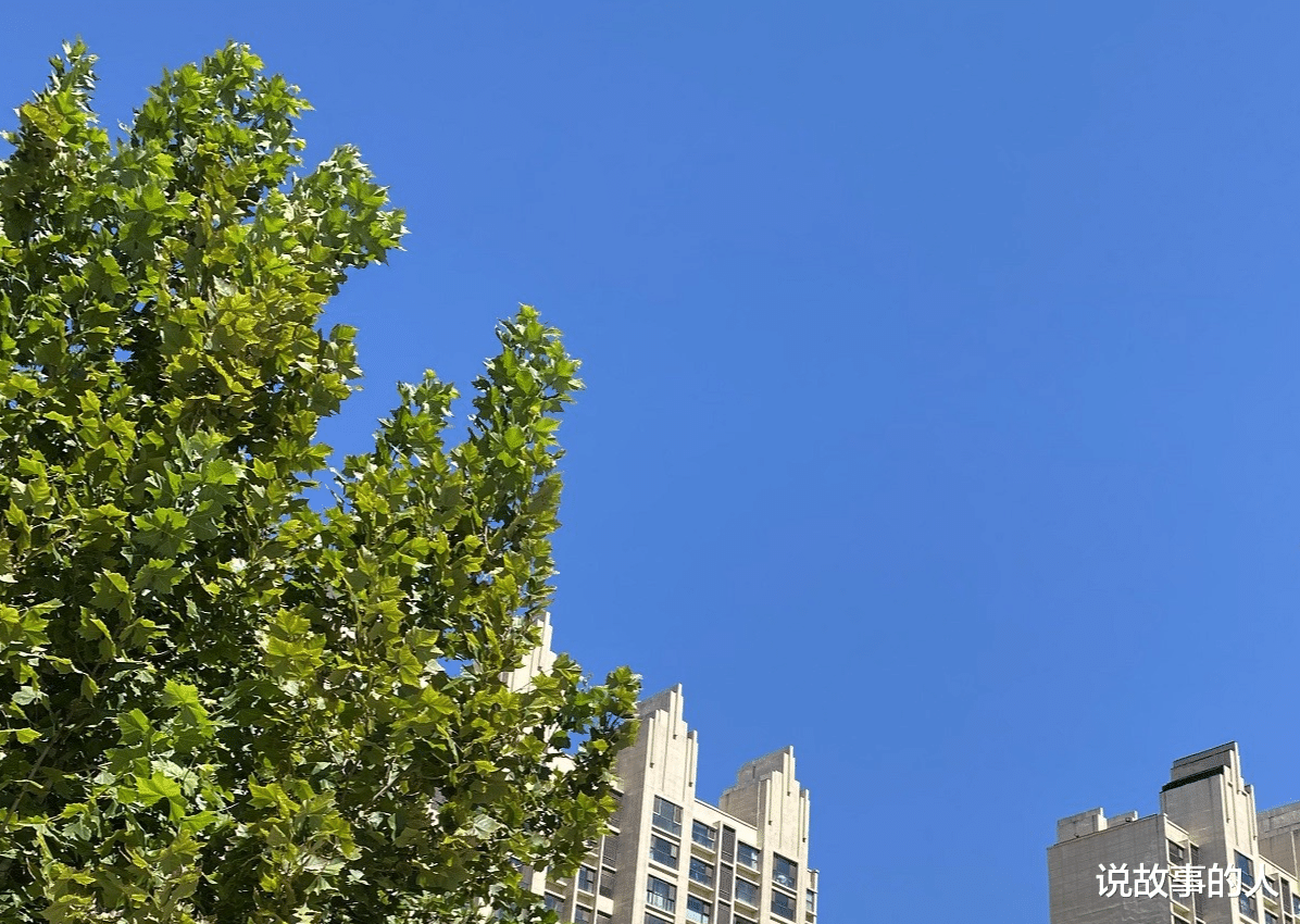 教师|把家当作办公室是一种什么样的体验?我说的可是长期的哦