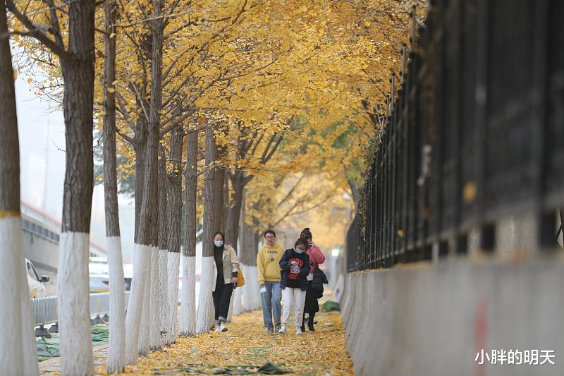 |职场规则：烂肚子里也不能对同事讲的3种事，不然必遭拿捏