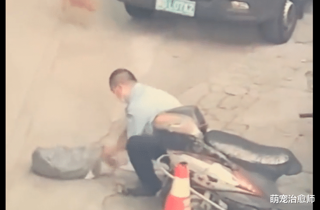 男子去别人家门口毒狗,没晕过去还拎起狗腿往地上摔,太残忍了!