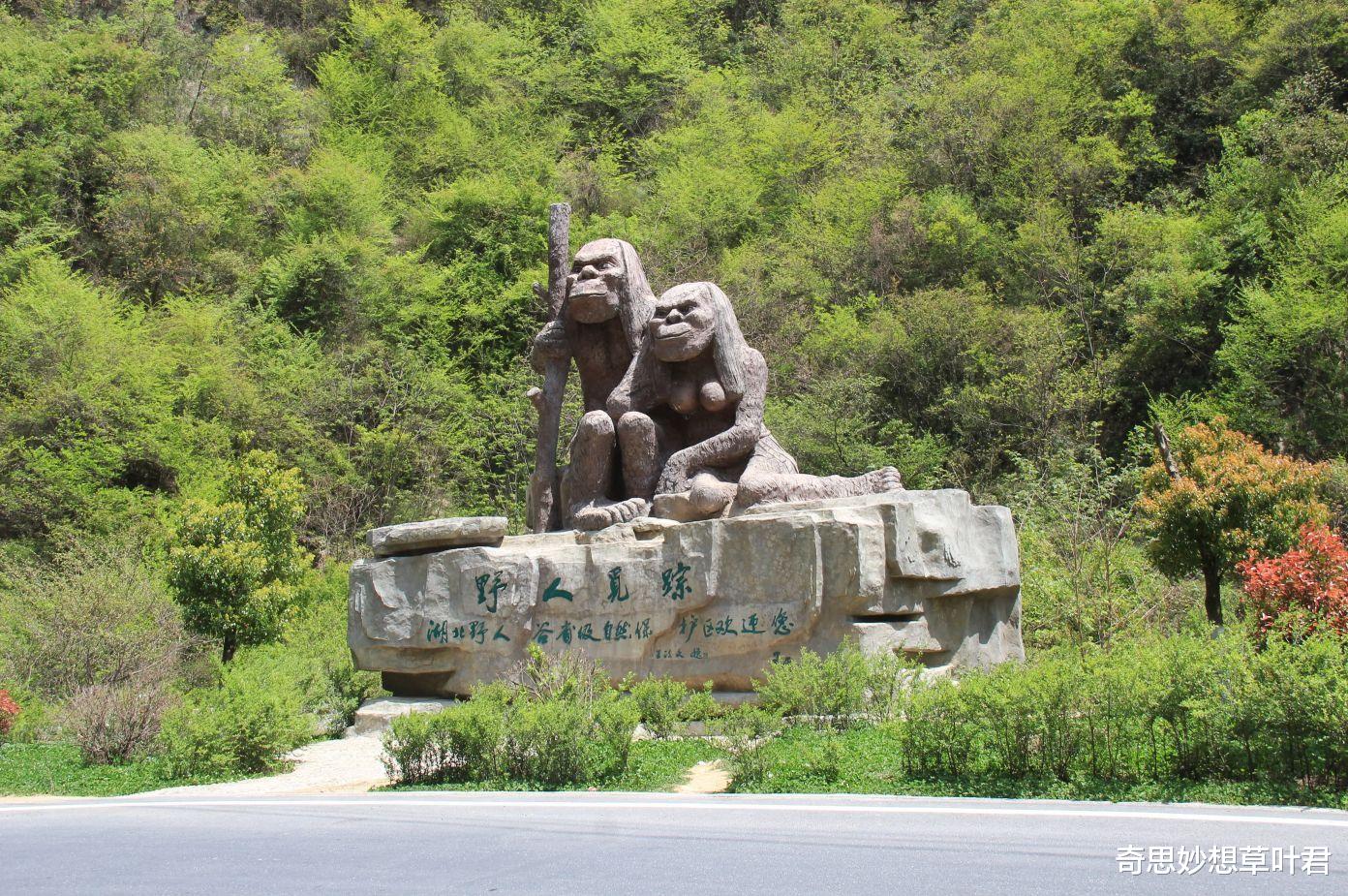 神农架为何被列为“禁区”?丛林深处为何禁止踏入?野人?怪兽?