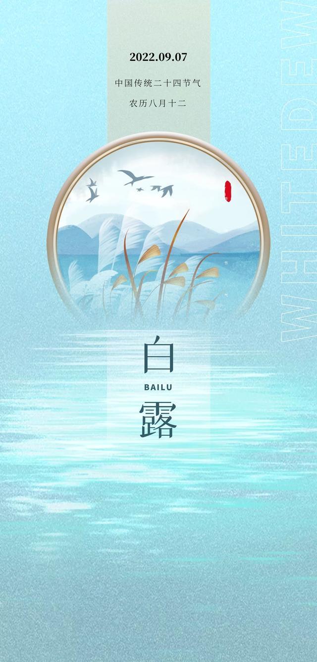 白露图片配图唯美高清带字大全,白露朋友圈问候语文案句子