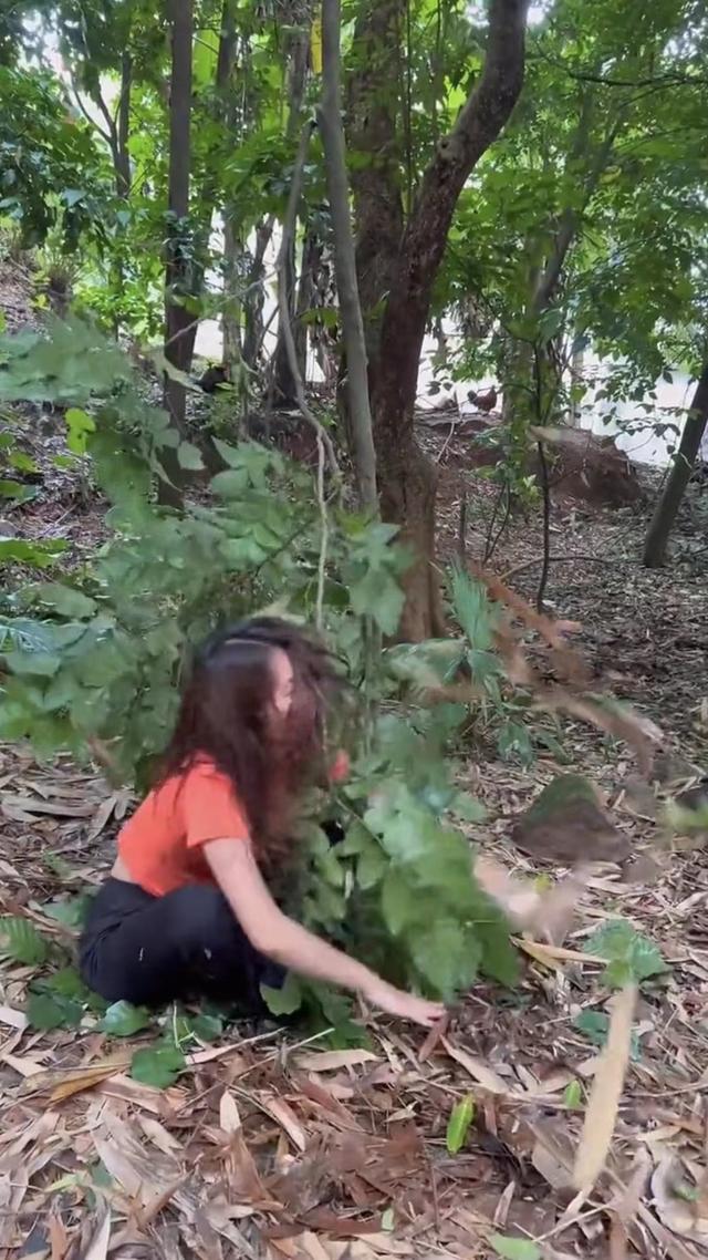 女子为躲避相亲,爬到树上躲起来,姐姐在树下使劲摇晃树干