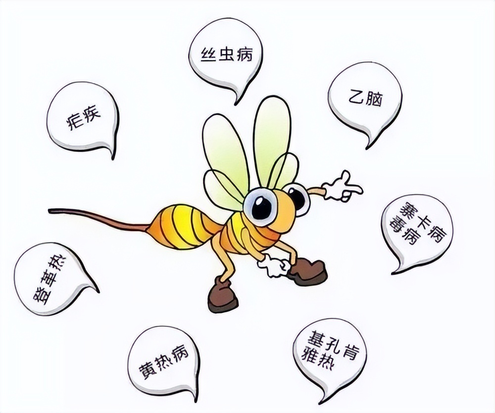 人大代表提议全面消灭蚊子!如果全部灭绝,生态系统会不会崩溃?