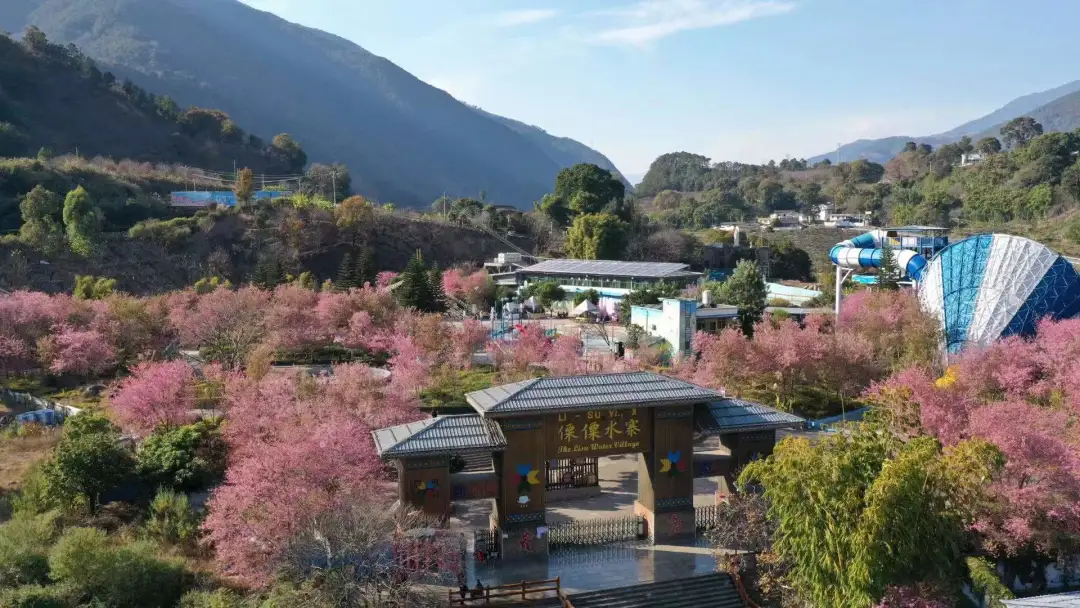 重庆|【春节特辑】春节最佳旅游线路出炉，赶快和家人们去打卡吧！