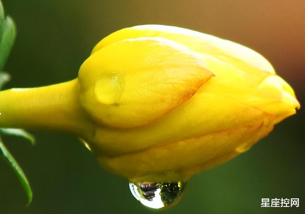 |哪几个时辰的人,天赋过人,有潜力可挖掘,未来有大格局大气运