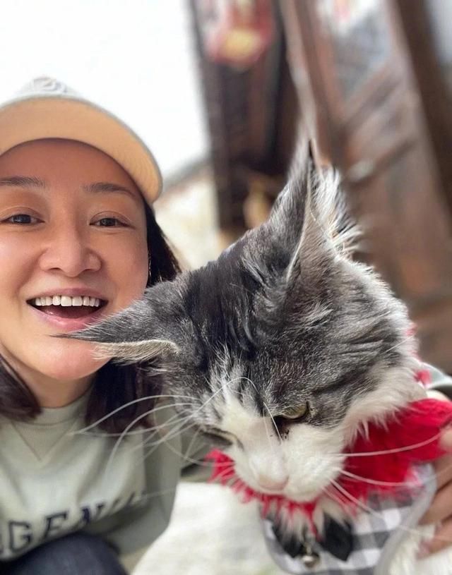 赵子琪|演员赵子琪,聚会时聚来一个老公,两个女儿也幸福