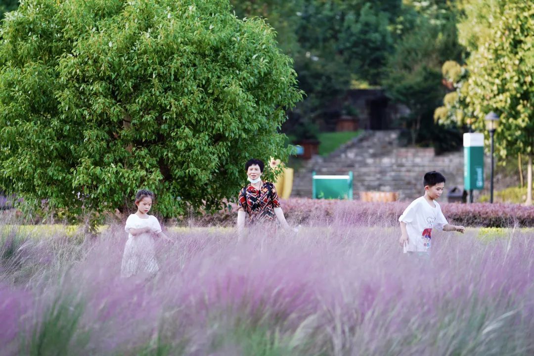 桐乡|假期去哪玩?桐乡这条旅游线路向全国推介!