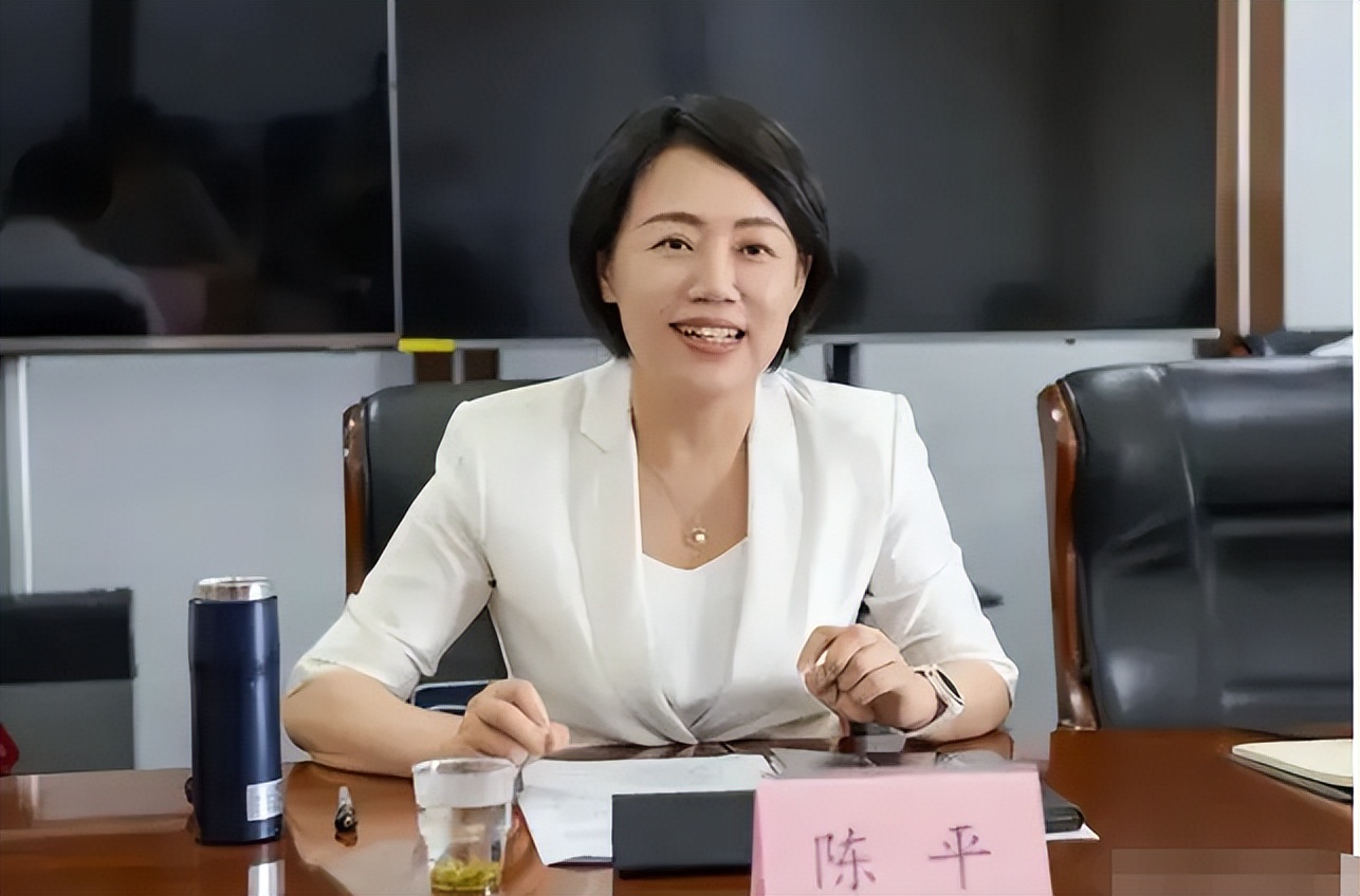 陈平|副省长陈平“火了”,有颜有实力气质还不俗,学历履历让人钦佩