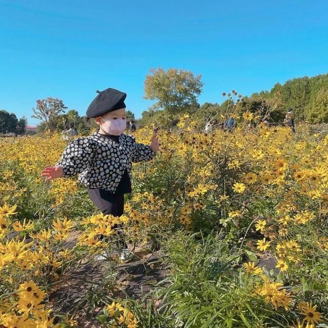 参观完她家,才知什么叫“高级美”,全屋大白墙,竟没有一点俗气