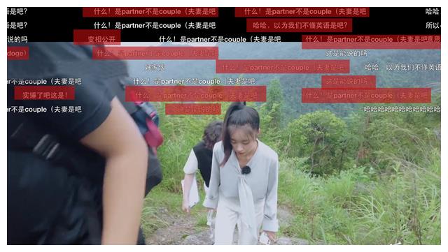 何报翔|芒果求职节目太好嗑，3个傻儿子和2个闺女下乡，基层法医让人钦佩