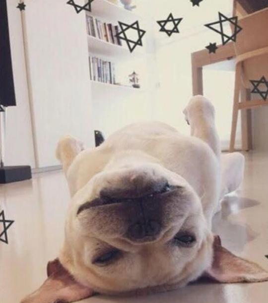 参观王心凌住的豪宅,家里设计有健身房,每天都会运动健身