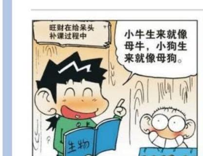 acgn漫评|旺财答应给呆头“补课”，但是补课的结果不尽人意！