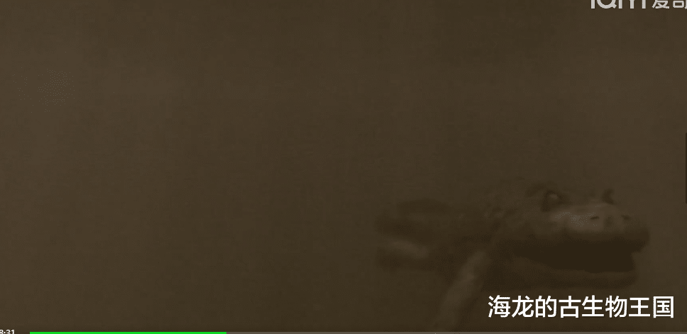 当丽齿兽遇上迷龙!不相上下的对抗正式开启!
