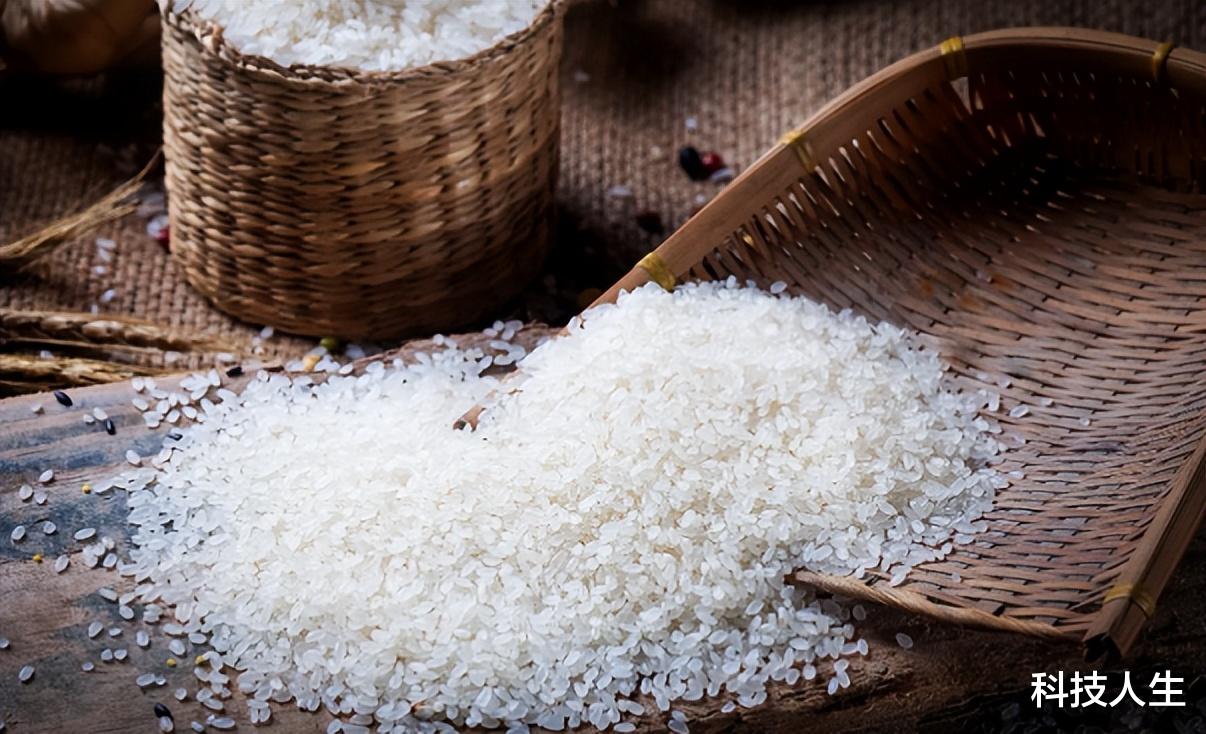 家里大米老生虫?原来是忽略了“这个细节”,看完分享给身边人