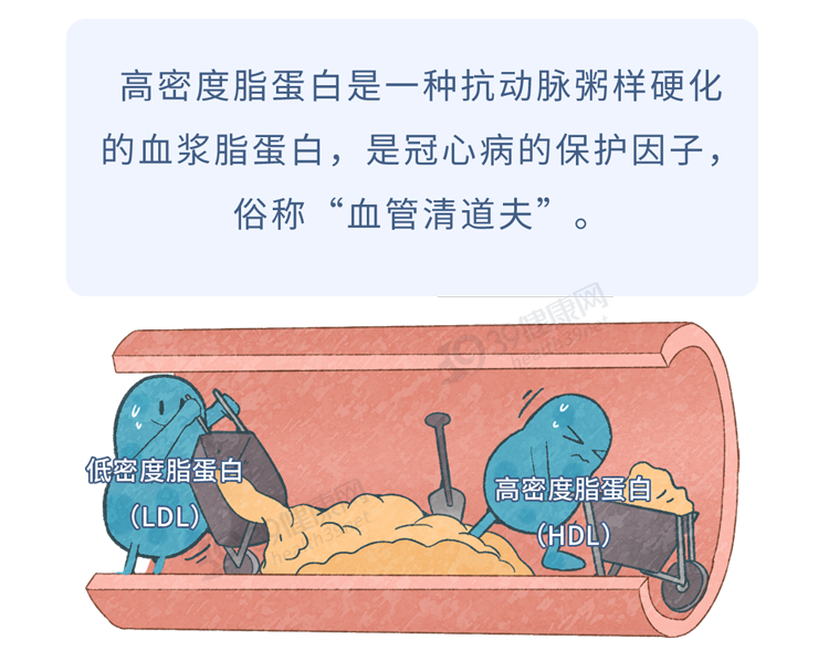 鸡蛋|浙大研究:每天多吃半个蛋,癌症和心脏病死亡风险会增加?可信吗