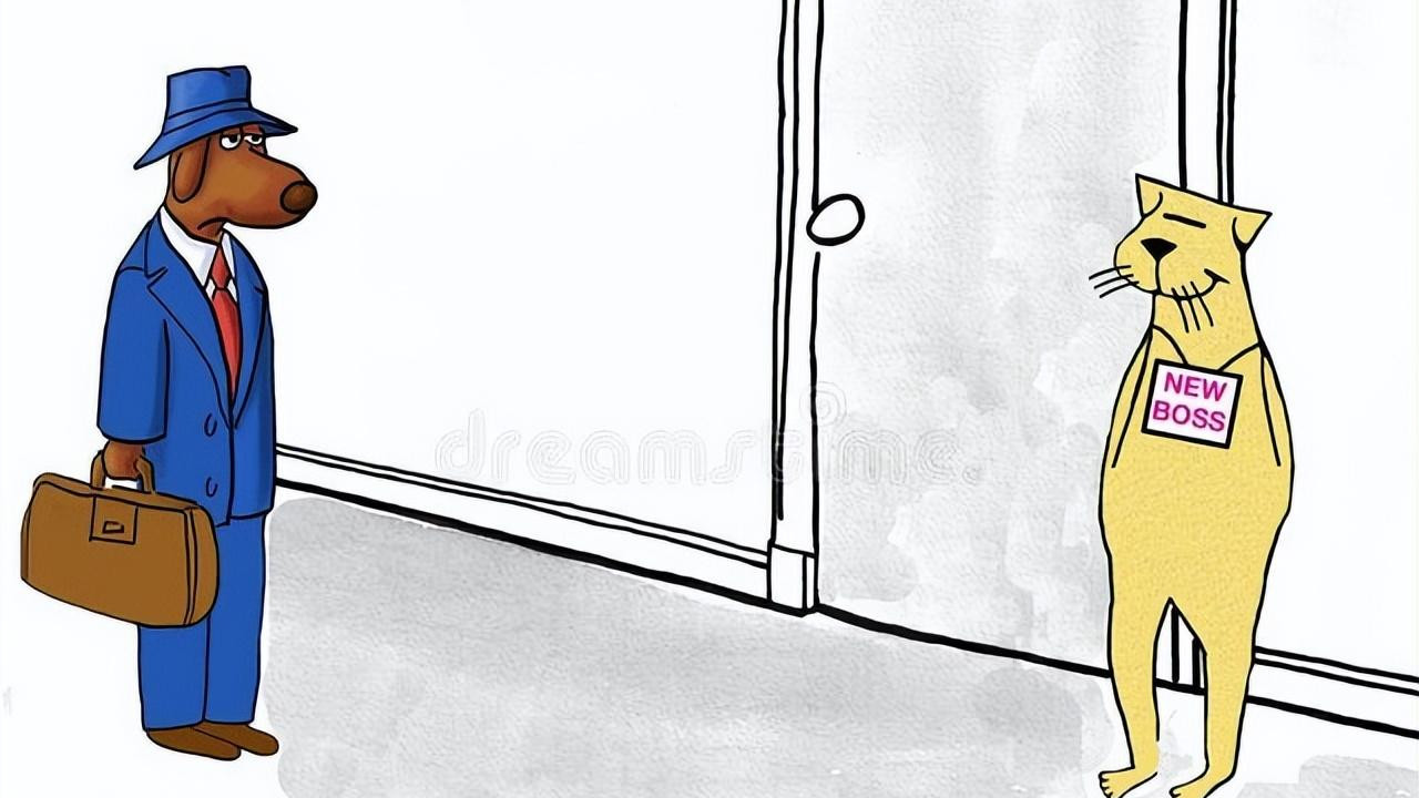 快递|职场焦虑：为什么我的领导这么RZ