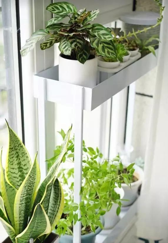 只有一个阳台,一定不要乱装!这么做等于多了一间房,实用!