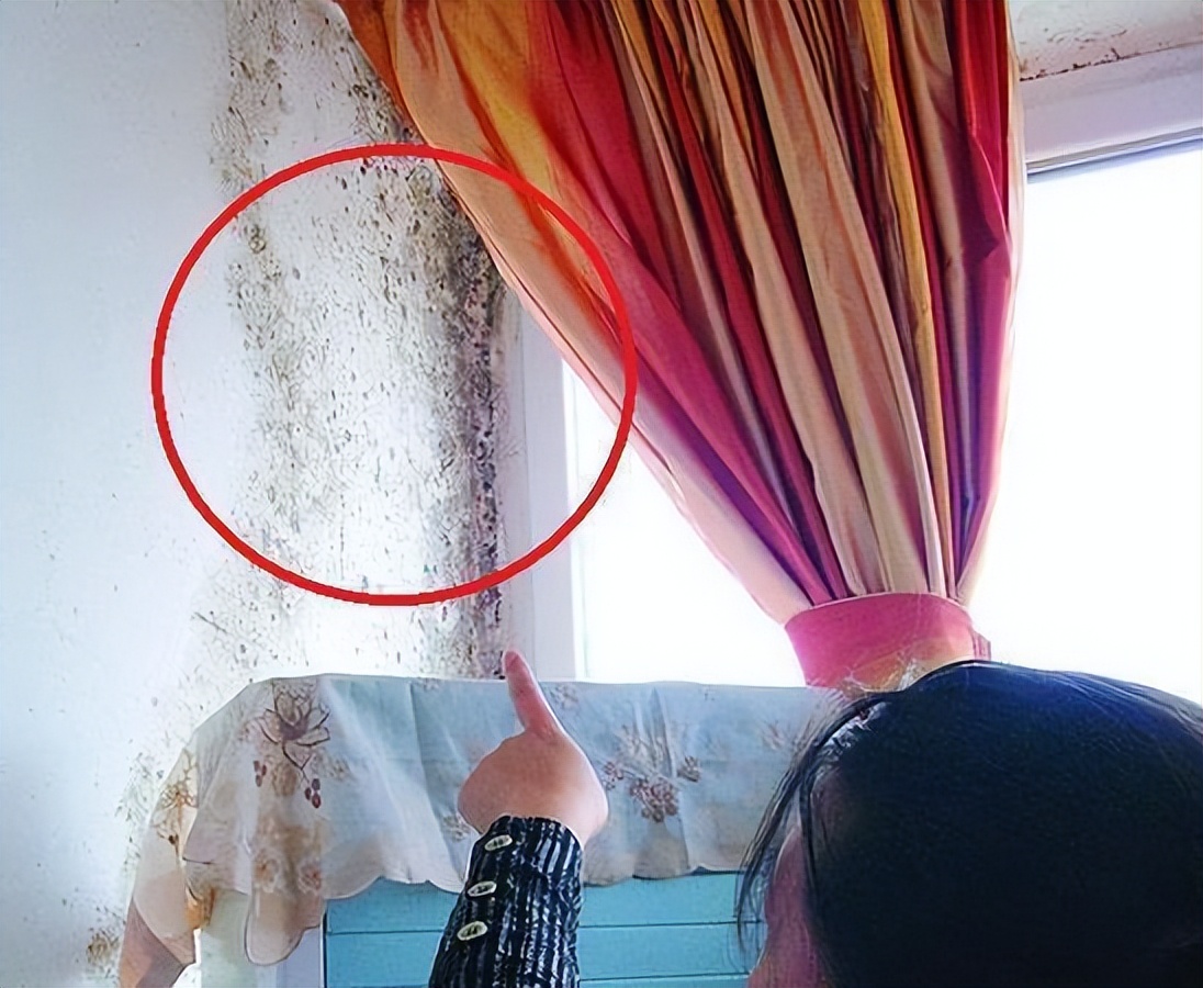天一热,家里墙壁四处发霉?别担心,教你2个小妙招,霉菌自动消失