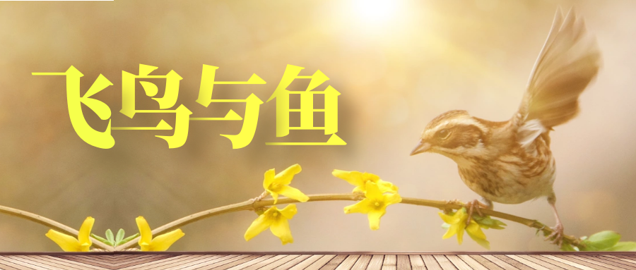 水大鱼多?深山老林挖池塘,平白无故生野鱼,真能无中生有吗?