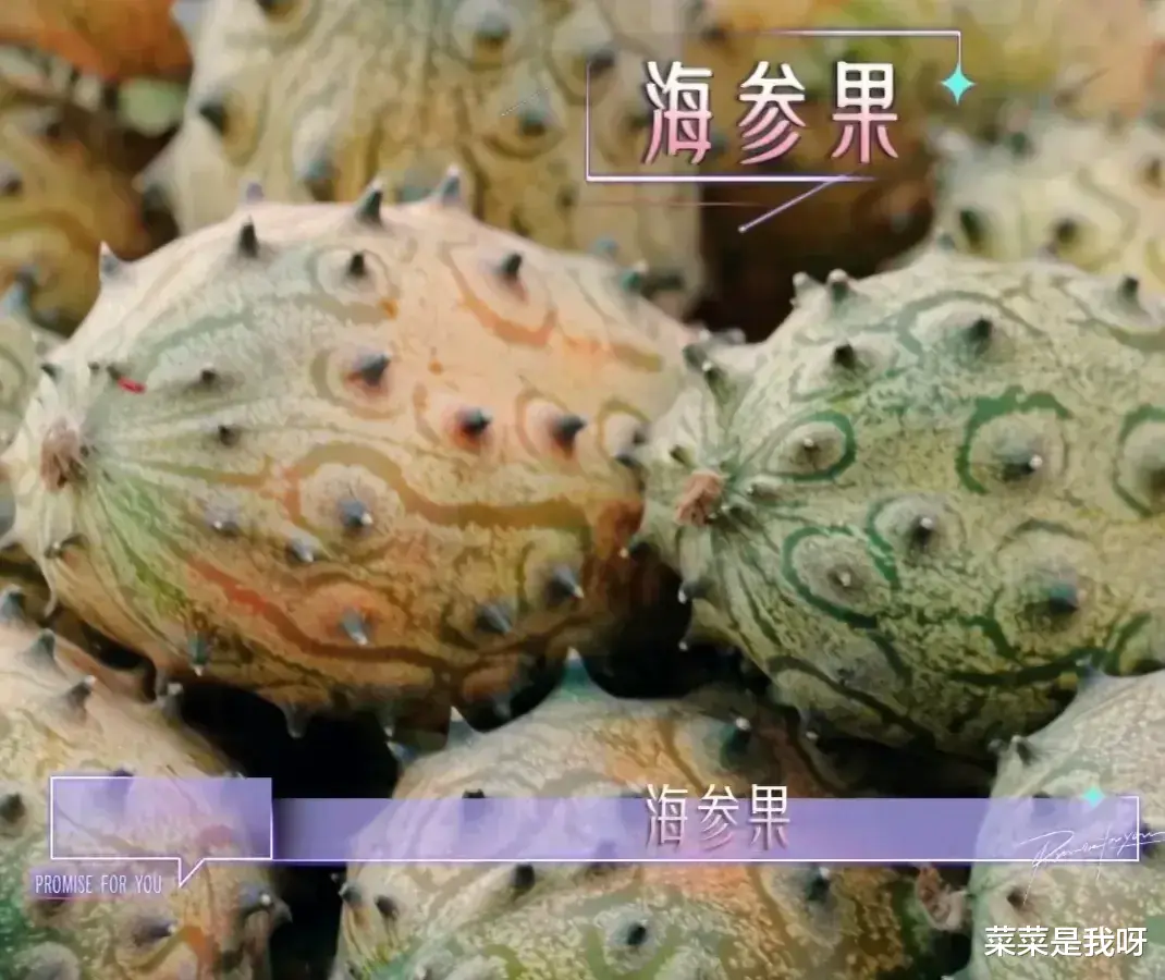 郑凯|节目播出后,网友有些不信了,难道说郑凯这么大一个明星,居然没吃过无花果?