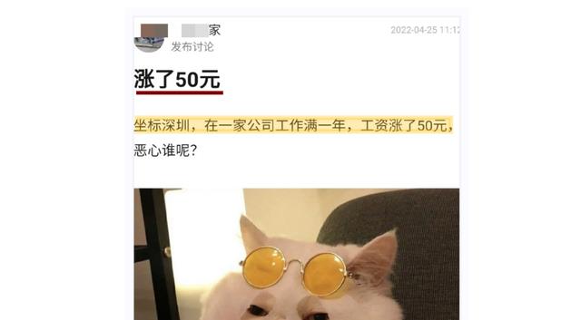 跳槽|“工作满一年,涨薪50元”:有些公司的奇葩程度,超出我想象